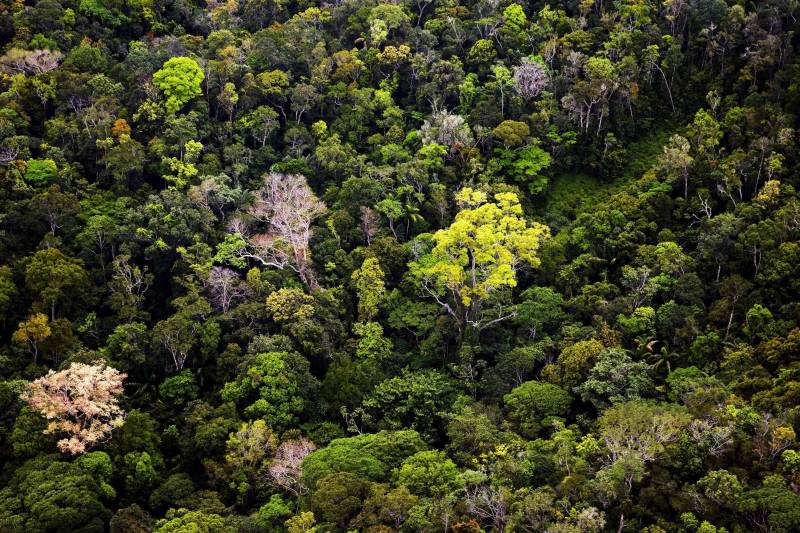 O projeto ?Ferramenta Sisuc (Sistema de Indicadores Socioambientais para Unidades de Conservação) como estratégia para fortalecimento do Mosaico da Calha Norte? foi aprovado pelo Ministério do Meio Ambiente (MMA), no âmbito do Programa Áreas Protegidas da Amazônia (Arpa). Elaborado pelo Instituto de Desenvolvimento Florestal e da Biodiversidade do Estado do Pará (Ideflor-bio), o projeto será beneficiado pelo programa do governo federal, que oferece apoio financeiro para a implantação de modelos inovadores de gestão em Unidades de Conservação (UC). Na foto, unidade de conservação Reserva Biológica Maicuru.

FOTO: ASCOM / IDEFLOR-BIO
DATA: 01.09.2016
BELÉM - PARÁ <div class='credito_fotos'>Foto: Ascom Ideflor-Bio   |   <a href='/midias/2018/originais/a5fe6091-1a7a-4b64-8d33-0502d5ac5436.jpg' download><i class='fa-solid fa-download'></i> Download</a></div>