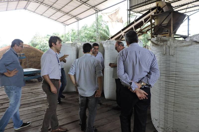 A Votorantim vai substituir sua matriz energética (coque de petróleo, não renovável) pela queima de caroços de açaí como fonte de energia em sua fábrica de cimento no município de Primavera (Nordeste do Pará). “O caroço de açaí é uma fonte renovável e hoje é um problema ambiental, mas assim se transforma em solução” explica o titular da Sedeme, Adnan Demachki. “Haverá uma diminuição significativa na emissão de C02 e a não-emissão de dióxido de enxofre, além de gerar alternativas novas de renda em municípios de baixo IDH e para famílias praticamente sem renda.” Na foto, equipe do govverno visita fábrica de caroços.
FOTO: ASCOM SEDEME
DATA: 20.03.2018
IGARAPÉ-MIRI - PARÁ <div class='credito_fotos'>Foto: Ascom Sedeme | <a href='/midias/2018/originais/a7d0da13-3b8a-4d0c-adef-780b32d7fe02.jpg' download><i class='fa-solid fa-download'></i> Download</a></div>
