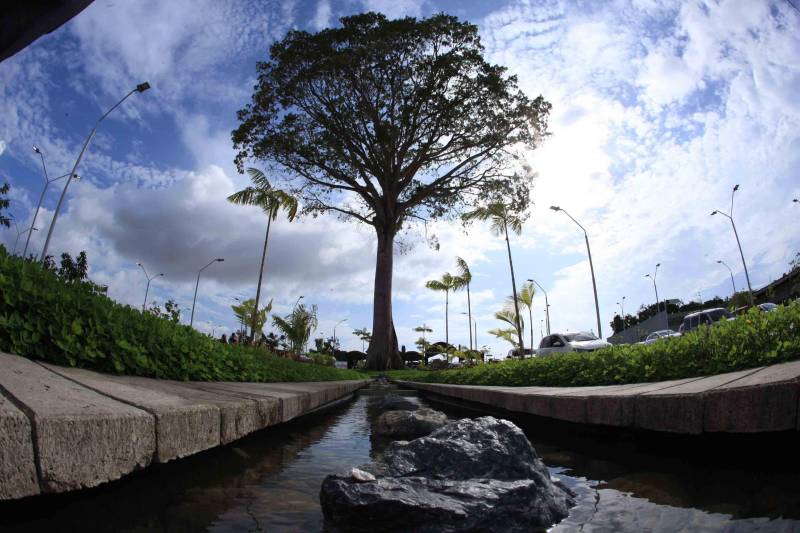 O Parque Estadual do Utinga (PEUt) o mais importante espaço de preservação e estudo da biodiversidade dentro da Região Metropolitana de Belém será reaberto à população a partir desta sexta,16, a partir das 16h30, com apresentações artísticas, com o Boi Veludinho, crianças do Pro Paz e a premiada Orquestra Sinfônica do Theatro da Paz. A apresentação será em um espaço ao ar livre e não será necessária a retirada de ingressos, por esse motivo, a recomendação é que o público chegue cedo, porque a entrada será fechada quando o espaço estiver lotado.
FOTO: MÁCIO FERREIRA / AG PARÁ
DATA: 16.03.2018
BELÉM - PARÁ <div class='credito_fotos'>Foto: MÁCIO FERREIRA/ AG. PARÁ | <a href='/midias/2018/originais/a8236dcc-4f75-4b5f-a8ee-9fa36f3dd6f9.jpg' download><i class='fa-solid fa-download'></i> Download</a></div>