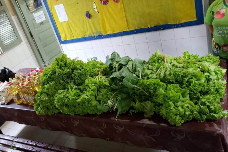 O Centro de Recuperação Agrícola Silvio Hall de Moura (CRASHM), localizado em Santarém, na região Oeste do Para, e ligado à Superintendência do Sistema Penitenciário do estado do Pará (Susipe), desenvolve projetos vinculados ao cultivo de hortaliças e plantas medicinais, tendo como público-alvo presos dos regimes fechado e semiaberto.

FOTO: ASCOM CRGBA
DATA: 26.11.2018
SANTARÉM - PARÁ <div class='credito_fotos'>Foto: ASCOM CRGSP   |   <a href='/midias/2018/originais/a862de49-2f64-4403-bd32-6e6448c7e820.jpg' download><i class='fa-solid fa-download'></i> Download</a></div>