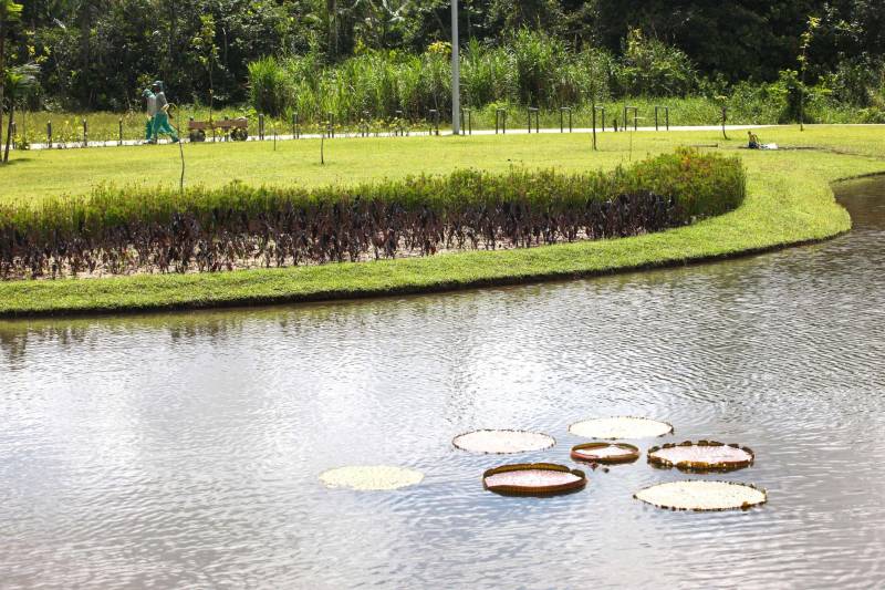 Com uma área equivalente a 1340 campos de futebol (1.340 hectares) o Parque Estadual do Utinga possui uma fauna exuberante com mais de 200 espécies de aves registradas e a maior biodiversidade de peixes em parques em todo o mundo com 90 espécies de peixes catalogadas.
FOTO: IGOR BRANDÃO / AG. PARÁ
DATA: 03.03.2018
BELÉM - PARÁ <div class='credito_fotos'>Foto: IGOR BRANDÃO / AG. PARÁ | <a href='/midias/2018/originais/a9820474-8d59-40f5-a632-5a5a29731375.jpg' download><i class='fa-solid fa-download'></i> Download</a></div>