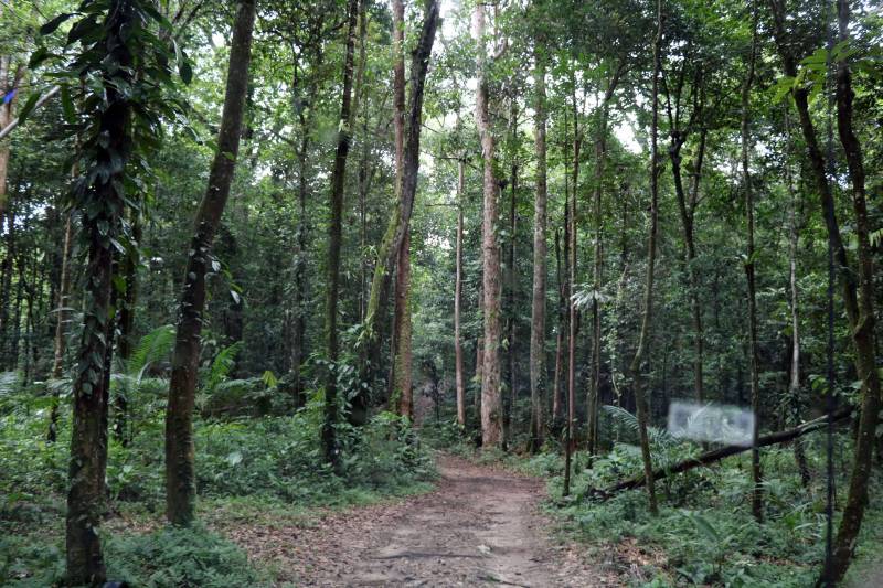 O Instituto de Desenvolvimento Florestal e da Biodiversidade (Ideflor-bio) inaugura neste final de semana a primeira trilha de longo curso do Pará. Com 30 quilômetros de extensão, a Rota do Guarumã passa pelas cidades de Belém, Ananindeua, Marituba e Benevides, na Região Metropolitana da capital paraense. O percurso atravessa as Unidades de Conservação Parque Estadual do Utinga, Área de Proteção Ambiental Metropolitana de Belém e o Refúgio de Vida Silvestre Metrópole da Amazônia.

FOTO: ASCOM IDEFLOR
DATA: 14.12.2018
BELÉM - PARÁ
 <div class='credito_fotos'>Foto: Ascom Ideflor   |   <a href='/midias/2018/originais/a9e00ce5-53a4-4207-be97-5661f00311ad.jpg' download><i class='fa-solid fa-download'></i> Download</a></div>