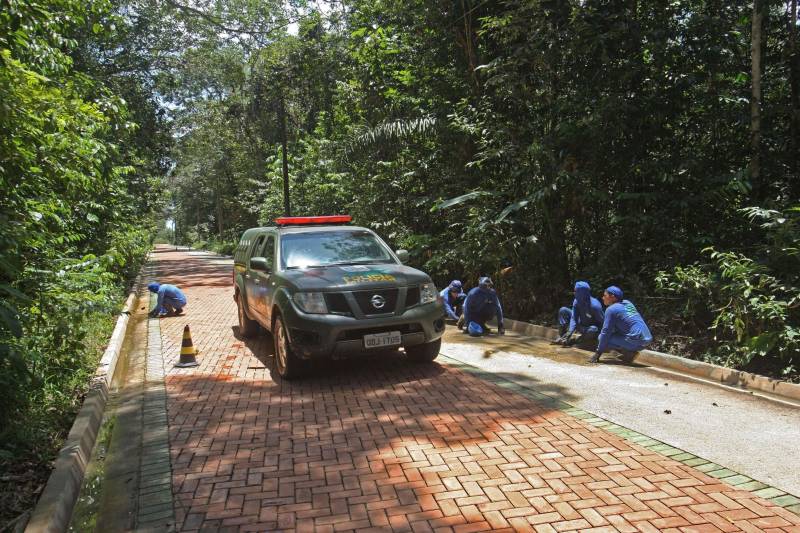 Bastante aguardado, o novo Parque Estadual do Utinga (PEUt) será reaberto ao público pelo Governo do Estado nos próximos dias 16 e 17 de março. Os serviços do mais importante espaço de preservação e estudo da biodiversidade dentro da Região Metropolitana de Belém serão oferecidos em caráter experimental. Na sexta-feira, a partir das 16h30, serão realizadas apresentações artísticas, com o Boi Veludinho, crianças do Pro Paz e a premiada Orquestra Sinfônica do Theatro da Paz. A apresentação será em um espaço ao ar livre e não será necessária a retirada de ingressos, por esse motivo, a recomendação é que o público chegue cedo, porque a entrada será fechada quando o espaço estiver lotado. No sábado, será realizada uma grande caminhada, a partir das 8 horas, com paradas para informações educativas sobre a fauna, flora e sobre os novos espaços. Por conta da grande quantidade de pessoas, incluindo crianças e idosos, o Corpo de Bombeiros recomendou e, a organização do evento acatou, a necessidade de se evitar durante a manhã do sábado o trânsito de veículos sobre rodas, como carros, bicicletas, skates e patins. Depois das 12 horas e durante todo o funcionamento do parque, a entrada e o uso por praticantes desta modalidade está completamente liberada no Parque. No domingo, o parque funciona normalmente ao público no horário de 5h30 às 17h, assim como nos outros dias, de segunda a segunda.
FOTO: IGOR BRANDÃO / AG PARÁ
DATA: 11.032018
BELÉM - PARÁ <div class='credito_fotos'>Foto: IGOR BRANDÃO / AG. PARÁ | <a href='/midias/2018/originais/ab018577-24ed-4bf7-a1c6-8942769be5f6.jpg' download><i class='fa-solid fa-download'></i> Download</a></div>