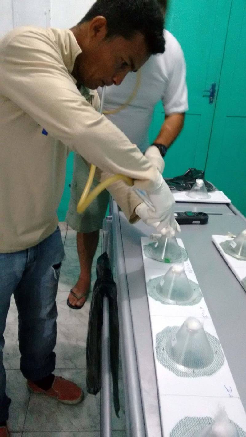 Pouca gente sabe, mas a Divisão de Entomologia do Laboratório Central do Estado (Lacen-PA) é responsável pelas pesquisas de campo que são fundamentais para o combate às endemias no Pará. A finalidade é observar e pesquisar o comportamento dos principais insetos transmissores de doenças como doença de Chagas, dengue, malária e leishmaniose e, assim, decidir qual a melhor estratégia de combate a ser usada. Tendo como responsável a bióloga entomologista Paoola Vieira, a Divisão trabalha, principalmente, integrada ao Departamento de Controle de Endemias da Secretaria de Estado de Saúde Pública (Sespa), setor que apresenta as demandas de ações de campo. "Trabalhamos com os vetores das principais endemias do estado: doenças de Chagas, leishmaniose, dengue e febre amarela. Então, o controle de todas as doenças transmitidas por vetores passa por aqui", informou Paoola.
FOTO: ASCOM / SESPA
DATA: 03.05.2018
<div class='credito_fotos'>Foto: ASCOM SESPA | <a href='/midias/2018/originais/abc0cb76-cbb8-4a49-918d-15c99d714236.jpg' download><i class='fa-solid fa-download'></i> Download</a></div>