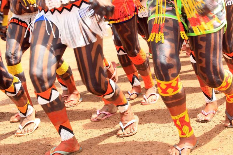 Está quase tudo pronto para a 6ª Semana dos Povos Indígenas, que começa neste domingo (15), em São Félix do Xingu, no sudeste do Pará. Antes de sair das aldeias em direção a São Félix – o terceiro maior município paraense em extensão territorial, atrás apenas de Altamira e Oriximiná –, as tribos fazem festa, numa espécie de preparação para os dias vindouros longe de casa. Na aldeia Krôkamôr, às margens do Rio Xingu e longe cerca de oito horas de barco da sede municipal, homens, mulheres e crianças Kayapó se unem na dança Kwyrykangô.
FOTO: RODOLFO OLIVEIRA / AG. PARÁ
DATA: 15.04.2018
SÃO FÉLIX DO XINGU - PARÁ <div class='credito_fotos'>Foto: Rodolfo Oliveira/Ag. Pará | <a href='/midias/2018/originais/aca0f66d-410f-4e38-ac1d-eff34dfa0b5f.jpg' download><i class='fa-solid fa-download'></i> Download</a></div>