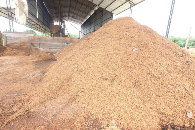 Mais de 300 produtores compareceram à arena Bira's, em Igarapé-Miri, no nordeste paraense, na manhã de quinta-feira (15), em busca de informações sobre crédito, qualificação profissional, regularização fundiária e cadeia produtiva. O público foi atendido pela "Caravana Pará 2030 - Igarapé-Miri", promovida pelo governo do Estado, que levou ao município os serviços de várias secretarias, bancos e instituições ligadas à produção e à intermediação de negócios.
FOTO: RODOLFO OLIVEIRA / AG. PARÁ
DATA: 16.03.2018
IGARAPÉ-MIRI - PARÁ <div class='credito_fotos'>Foto: Rodolfo Oliveira/Ag. Pará | <a href='/midias/2018/originais/acea3d68-30f5-4a8f-a12e-e318c5013ffc.jpg' download><i class='fa-solid fa-download'></i> Download</a></div>