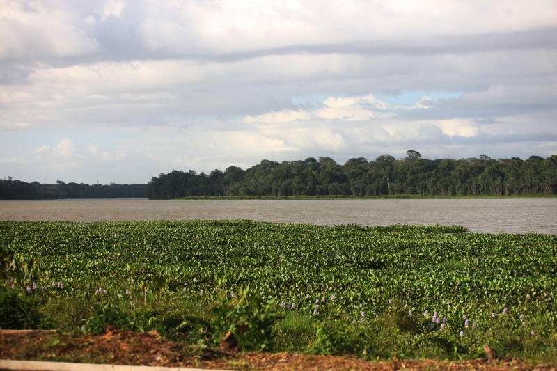 Este é o mais importante projeto de preservação da biodiversidade na Região Metropolitana de Belém e consiste em uma unidade de conservação criada em 1993 para preservar ecossistemas e mananciais lá guardados - como os lagos Bolonha e Água Preta, que abastecem cerca de 70% da população de Belém.
FOTO: IGOR BRANDÃO / AG. PARÁ
DATA: 03.03.2018
BELÉM - PARÁ <div class='credito_fotos'>Foto: IGOR BRANDÃO / AG. PARÁ | <a href='/midias/2018/originais/af8c4ddd-fb51-46cf-8f64-4294f7923ad2.jpg' download><i class='fa-solid fa-download'></i> Download</a></div>