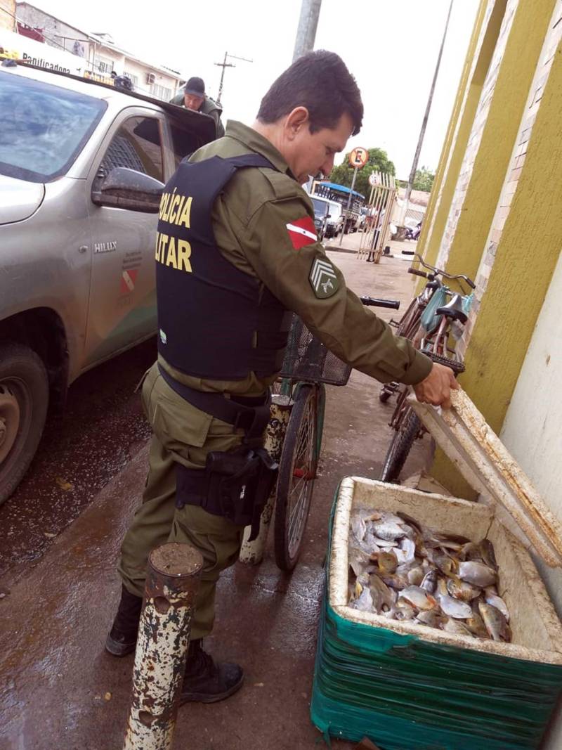 Uma mega operação de fiscalização nos municípios de Marabá e Nova Ipixuna apreendeu, neste domingo, 25, mais de uma tonelada de peixes retirados ilegalmente do Lago de Tucuruí. Foram apreendidos também apetrechos de pesca, como malhadeiras com tamanhos irregulares, além de caças e pássaros. A operação foi coordenada por equipes técnicas do Instituto de Desenvolvimento Florestal e da Biodiversidade (Ideflor-bio), em parceria com a Secretaria Estadual de Meio Ambiente e Sustentabilidade (Semas) e Polícia Militar.

FOTO: ASCOM IDEFLOR
DATA: 26.11.2018
MARABÁ-PARÁ <div class='credito_fotos'>Foto: Ascom Ideflor   |   <a href='/midias/2018/originais/b178ca92-403a-49b9-8cab-83b6b26af4b6.jpg' download><i class='fa-solid fa-download'></i> Download</a></div>