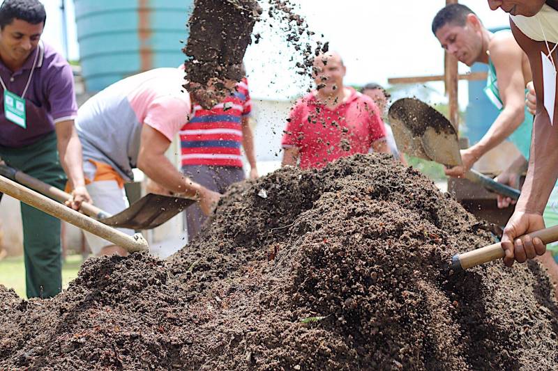 O cultivo de hortaliças e o manejo com a terra são formas de ressocialização oferecida para 20 internos custodiados na Central de Triagem Metropolitana II (CTM II), em Ananindeua, que participam de um curso de Horticultura promovido pelo Serviço Nacional de Aprendizagem Rural (Senar), em parceria com a Superintendência do Sistema Penitenciário do Estado (Susipe). O objetivo é preparar e qualificar os internos da unidade para o mercado de trabalho.
FOTO: Veloso Jr/ ASCOM SUSIPE
DATA: 13.11.2018
SANTA IZABEL - PARÁ
<div class='credito_fotos'>Foto: Veloso Junior / Ascom Susipe | <a href='/midias/2018/originais/b2ab77d8-2c80-4634-8088-2396ff171dd8.jpg' download><i class='fa-solid fa-download'></i> Download</a></div>