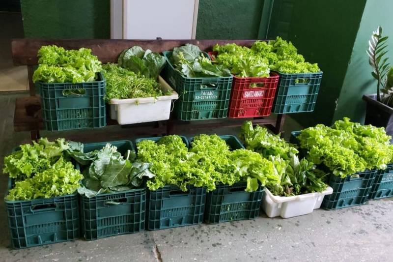 O Centro de Recuperação Agrícola Silvio Hall de Moura (CRASHM), localizado em Santarém, na região Oeste do Para, e ligado à Superintendência do Sistema Penitenciário do estado do Pará (Susipe), desenvolve projetos vinculados ao cultivo de hortaliças e plantas medicinais, tendo como público-alvo presos dos regimes fechado e semiaberto.

FOTO: ASCOM CRGBA
DATA: 26.11.2018
SANTARÉM - PARÁ <div class='credito_fotos'>Foto: ASCOM CRGSP   |   <a href='/midias/2018/originais/b46cedca-1861-4bc4-9e3a-fe012b21f7cb.jpg' download><i class='fa-solid fa-download'></i> Download</a></div>