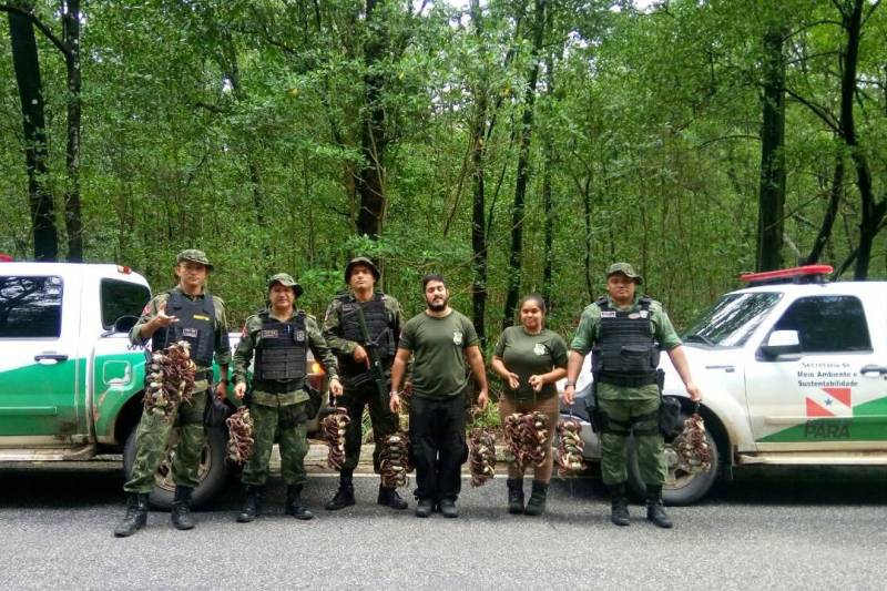 A fiscalização ambiental da Secretaria de Estado de Meio Ambiente e Sustentabilidade (Semas) apreendeu cerca de dois mil caranguejos durante uma operação de proteção ao período de defeso, que percorreu diversos municípios em janeiro e fevereiro.
FOTO: ASCOM SEMAS
DATA: 22.02.2018 <div class='credito_fotos'>Foto: ASCOM SEMAS | <a href='/midias/2018/originais/b597498a-e4d9-45fb-a802-9371c798fb19.jpg' download><i class='fa-solid fa-download'></i> Download</a></div>