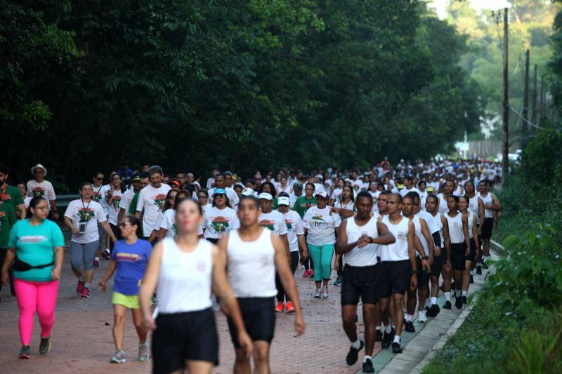 “Foi uma semana produtiva, de muito trabalho, de interação com a sociedade, e culminou com a caminhada sustentável (foto), que por sua vez foi extremamente bem-sucedida para mostrarmos que sustentabilidade também envolve saúde”. As palavras do titular da Secretaria de Estado de Meio Ambiente e Sustentabilidade (Semas), Thales Belo, encerraram uma programação vasta do Governo do Pará em alusão à Semana Mundial do Meio Ambiente.

FOTO: SIDNEY OLIVEIRA / AG. PARÁ
DATA: 09.06.2018
BELÉM - PARÁ <div class='credito_fotos'>Foto: Sidney Oliveira/Ag. Pará   |   <a href='/midias/2018/originais/b64a34cd-32c2-4b1f-8e8e-1ca9079db1c4.jpg' download><i class='fa-solid fa-download'></i> Download</a></div>