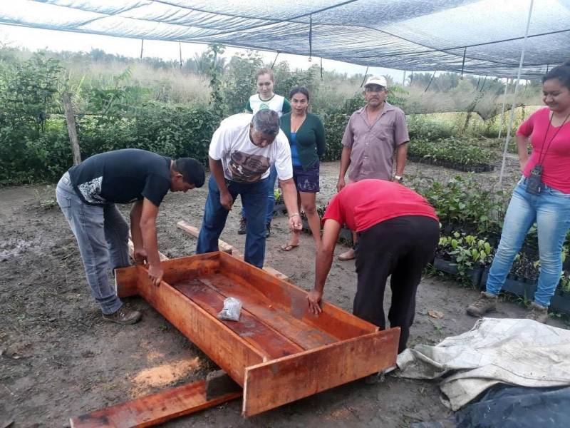 Terminou nesta sexta-feira (13), no município de Mojuí dos Campos, na região do Baixo Amazonas, a oficina (foto) para produção de mudas de castanha-do-Pará e Ipê. A capacitação iniciou na última quarta-feira (11) e foi realizada pelo Escritório Regional do Baixo Amazonas do Instituto de Desenvolvimento Florestal e da Biodiversidade (Ideflor-bio), em parceria com a Empresa de Assistência Técnica e Extensão Rural do Pará (Emater), Secretaria de Desenvolvimento Agropecuário e da Pesca (Sedap), Prefeitura de Mojuí dos Campos e Cooperativa Mista Agroextrativista do Tapajós (Coomaplas). A ação busca incentivar a diversificação na produção de agricultores familiares e técnicos do município.
FOTO: SAMUEL ALVARENGA / SECOM
DATA: 13.04.2018
MOJUÍ DOS CAMPOS - PARÁ <div class='credito_fotos'>Foto: Samuel Alvarenga / Secom | <a href='/midias/2018/originais/b72725c7-ea22-4fe5-9ca5-2c3931a91ce1.jpg' download><i class='fa-solid fa-download'></i> Download</a></div>