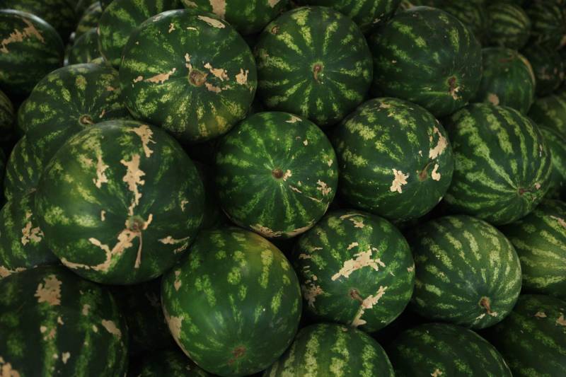 Com a chegada do verão, é importante reforçar o consumo de frutas para a absorção de nutrientes importantes e também para o combate à desidratação. Como toda a estação, existem as frutas da época, que, por conta da oferta, costumam ficar mais baratas. Uma das opções para a compra de frutas da estação é a Central de Abastecimento do Pará (Ceasa).
FOTO: RODOLFO OLIVEIRA / AG. PARÁ
DATA: 09.07.2018
BELÉM - PARÁ <div class='credito_fotos'>Foto: Rodolfo Oliveira/Ag. Pará | <a href='/midias/2018/originais/b735faf1-1026-4ef6-b3f6-bb11ae2803e6.jpg' download><i class='fa-solid fa-download'></i> Download</a></div>