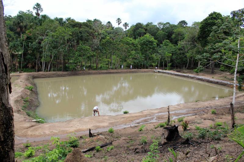 Um projeto de revitalização de tanques para criação de peixes destinados à comercialização e consumo dos detentos está sendo desenvolvido no Centro de Recuperação Agrícola Sílvio Hall de Moura, localizado no município de Santarém, no oeste do Estado. 

FOTO: ASCOM SUSIPE
DATA: 11.12.2018
SANTARÉM - PARÁ <div class='credito_fotos'>Foto: ASCOM SUSIPE   |   <a href='/midias/2018/originais/b78e1876-5fb0-4df4-aa05-165af4edfd8d.jpg' download><i class='fa-solid fa-download'></i> Download</a></div>