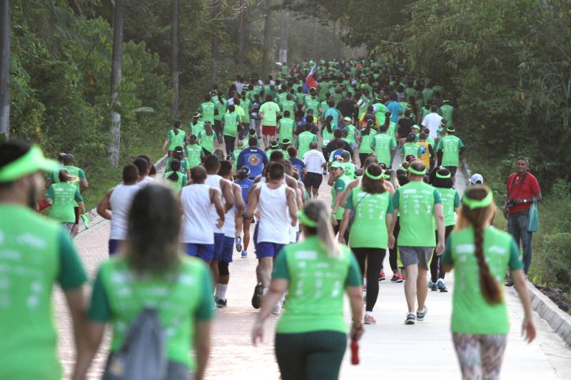 A sétima edição da Corrida e Caminhada do Servidor Público (foto), realizada no Parque do Utinga na manhã desde sábado, 10, reuniu mais de mil servidores do Governo do Pará com o objetivo de promover a saúde e a qualidade de vida. E foi com inspiração nesses dois pilares do evento que Renato Alves e Adriana Lima levaram, mais uma vez, o primeiro lugar do masculino e feminino da competição. Em sete anos de evento, a cabo do Corpo de Bombeiros Adriana Lima chegou em primeiro lugar 4 vezes. Em 2017, ela foi impedida de participar devido uma lesão no tornozelo causada por um acidente, mas esse ano se preparou com treinos pesados na areia, para ganhar força muscular. “Médicos disseram que eu nunca mais correria e ano passado eu fui assistir e chorei por não participar, mas esse ano eu vim para ganhar. Meu lema é lutar sempre desistir jamais”, disse a tetracampeã.
FOTO: CRISTINO MARTINS / AG. PARÁ
DATA: 10.11.2018
BELÉM - PARÁ <div class='credito_fotos'>Foto: Cristino Martins/Ag. Pará | <a href='/midias/2018/originais/bb6c924c-55ee-4637-94c9-e5567384f713.jpg' download><i class='fa-solid fa-download'></i> Download</a></div>