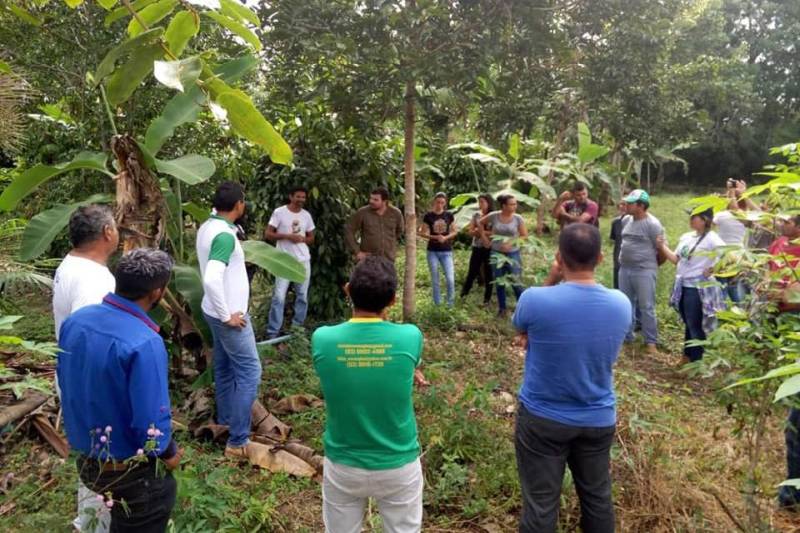 Agricultores de Mojuí dos Campos, no oeste paraense, convidaram a equipe do escritório local da Empresa de Assistência Técnica e Extensão Rural do Estado do Pará (Emater) para participar, como observadora e opinante, do processo de previsão orçamentária e de planejamento estratégico para 2019, na sede do Sindicato dos Trabalhadores e Trabalhadoras Rurais (STTR).

FOTO: ASCOM EMATER
DATA: 28.11.2018
MOJUÍ DOS CAMPOS - PARÁ <div class='credito_fotos'>Foto: ASCOM EMATER   |   <a href='/midias/2018/originais/bcc646e5-e2b4-40c4-a92c-b6ac5868caed.jpg' download><i class='fa-solid fa-download'></i> Download</a></div>