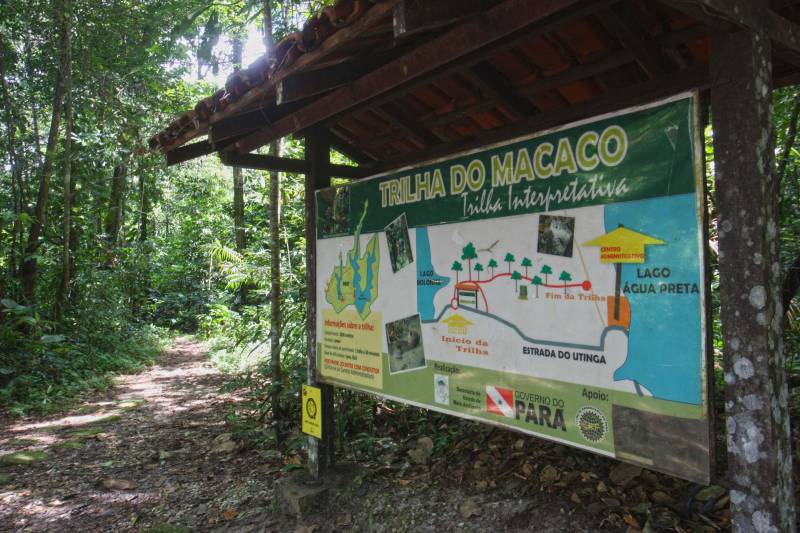 Bastante aguardado, o novo Parque Estadual do Utinga (PEUt) será reaberto ao público pelo Governo do Estado nos próximos dias 16 e 17 de março. Os serviços do mais importante espaço de preservação e estudo da biodiversidade dentro da Região Metropolitana de Belém serão oferecidos em caráter experimental. Na sexta-feira, a partir das 16h30, serão realizadas apresentações artísticas, com o Boi Veludinho, crianças do Pro Paz e a premiada Orquestra Sinfônica do Theatro da Paz. A apresentação será em um espaço ao ar livre e não será necessária a retirada de ingressos, por esse motivo, a recomendação é que o público chegue cedo, porque a entrada será fechada quando o espaço estiver lotado. No sábado, será realizada uma grande caminhada, a partir das 8 horas, com paradas para informações educativas sobre a fauna, flora e sobre os novos espaços. Por conta da grande quantidade de pessoas, incluindo crianças e idosos, o Corpo de Bombeiros recomendou e, a organização do evento acatou, a necessidade de se evitar durante a manhã do sábado o trânsito de veículos sobre rodas, como carros, bicicletas, skates e patins. Depois das 12 horas e durante todo o funcionamento do parque, a entrada e o uso por praticantes desta modalidade está completamente liberada no Parque. No domingo, o parque funciona normalmente ao público no horário de 5h30 às 17h, assim como nos outros dias, de segunda a segunda.
FOTO: IGOR BRANDÃO / AG PARÁ
DATA: 11.032018
BELÉM - PARÁ <div class='credito_fotos'>Foto: IGOR BRANDÃO / AG. PARÁ | <a href='/midias/2018/originais/bf952abf-f6ed-4559-ac68-56077a01b5e6.jpg' download><i class='fa-solid fa-download'></i> Download</a></div>