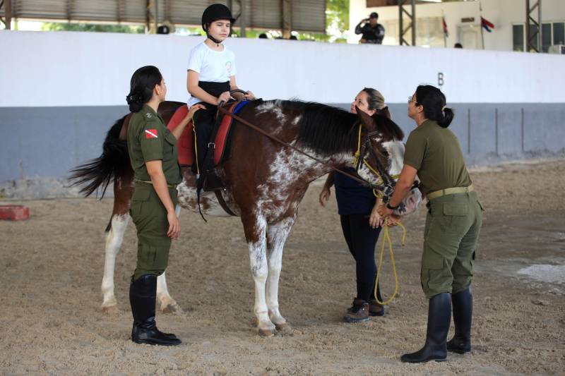 “Quando recebi a indicação de terapeutas e médicos de que meu filho autista deveria fazer equoterapia, não imaginava que conquistaríamos resultados tão maravilhosos, que ele começaria a interagir, perder o medo dos animais, melhorar a postura e ter mais autonomia”. O depoimento emocionado é de Isabel Melo, mãe de João Vitor, de 10 anos (foto), paciente do Programa de Equoterapia, realizado pela Polícia Militar do Pará.
FOTO: MÁCIO FERREIRA / AG. PARÁ
DATA: 02.04.2018
BELÉM - PARÁ <div class='credito_fotos'>Foto: MÁCIO FERREIRA/ AG. PARÁ | <a href='/midias/2018/originais/c168e22d-d05f-4bf6-bb0c-14498a0c8780.jpg' download><i class='fa-solid fa-download'></i> Download</a></div>