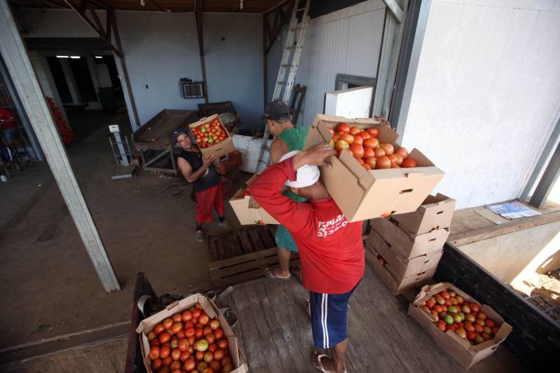 Quem foi às Centrais de Abastecimento do Pará (Ceasa-PA) nesta segunda-feira (4) já conseguiu adquirir diversos hortifrutigranjeiros que estavam em falta por conta da greve dos caminhoneiros. O movimento, que durou mais de 10 dias em todo o país, prejudicou o abastecimento desses produtos em quase todas as cidades brasileiras.

FOTO: SIDNEY OLIVEIRA / AG. PARÁ
DATA: 04.06.2018
BELÉM - PARÁ <div class='credito_fotos'>Foto: Sidney Oliveira/Ag. Pará   |   <a href='/midias/2018/originais/c18c43e5-5819-452b-a76c-051dd27e8b65.jpg' download><i class='fa-solid fa-download'></i> Download</a></div>