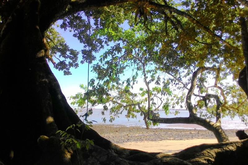 O Núcleo de Produção Digital da Casa das Artes exibe, na próxima segunda-feira, 26, a partir das 19h, três curtas metragens produzidos e dirigidos por realizadores paraenses: Fábio Hassegawa, com os curtas “10ml” - com trilha sonora do musicista André Macleuri - e “Puro Mar”; e Kemuel Carvalheira, com o curta “Damasceno Novos e Usados”.]

FOTO: DIVULGAÇÃO
DATA: 23.11.2018
BELÉM - PARÁ <div class='credito_fotos'>Foto: Divulgação   |   <a href='/midias/2018/originais/c2b968a7-fe6b-4f44-a8a4-ad11c18fa47c.jpg' download><i class='fa-solid fa-download'></i> Download</a></div>