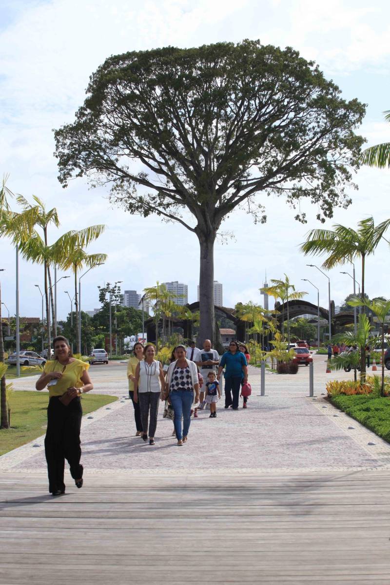 O Parque Estadual do Utinga (PEUt) o mais importante espaço de preservação e estudo da biodiversidade dentro da Região Metropolitana de Belém será reaberto à população a partir desta sexta,16, a partir das 16h30, com apresentações artísticas, com o Boi Veludinho, crianças do Pro Paz e a premiada Orquestra Sinfônica do Theatro da Paz. A apresentação será em um espaço ao ar livre e não será necessária a retirada de ingressos, por esse motivo, a recomendação é que o público chegue cedo, porque a entrada será fechada quando o espaço estiver lotado.
FOTO: MÁCIO FERREIRA / AG PARÁ
DATA: 16.03.2018
BELÉM - PARÁ <div class='credito_fotos'>Foto: MÁCIO FERREIRA/ AG. PARÁ | <a href='/midias/2018/originais/c2ca6ed0-cccc-4c5e-9cc9-8c71365042a2.jpg' download><i class='fa-solid fa-download'></i> Download</a></div>