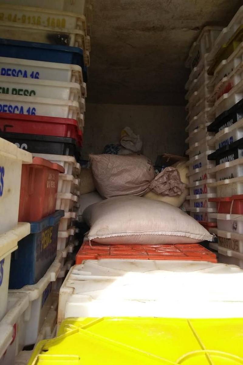 Agentes da Agência de Defesa Agropecuária do Estado do Pará (Adepará) apreenderam 300 kg de peixe salgado impróprio para o consumo na manhã desta terça-feira (22). A carga estava em diversos veículos interceptados no Posto Fiscal Agropecuário (PFA) da Adepará, no município de Ourém, na região nordeste paraense.

FOTO: ASCOM ADEPARÁ
DATA: 22.05.2018
OURÉM - PARÁ <div class='credito_fotos'>Foto: ASCOM ADEPARÁ   |   <a href='/midias/2018/originais/c54a6de2-6461-4025-a177-7980586e3e9c.jpg' download><i class='fa-solid fa-download'></i> Download</a></div>