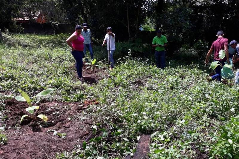 O escritório de Nova Ipixuna da Empresa de Assistência Técnica e Extensão Rural do Estado do Pará (Emater-Pará) apresentou nesta semana, na comunidade Boa Esperança, projeto de implantação de hortas comunitárias, envolvendo múltiplas parcerias municipais.
FOTO: ASCOM EMTAER
DATA: 26.04.2018
NOVA IPIXUNA - PARÁ <div class='credito_fotos'>Foto: ASCOM EMATER | <a href='/midias/2018/originais/c7856f31-30e5-48ab-9307-b63896486a6b.jpg' download><i class='fa-solid fa-download'></i> Download</a></div>
