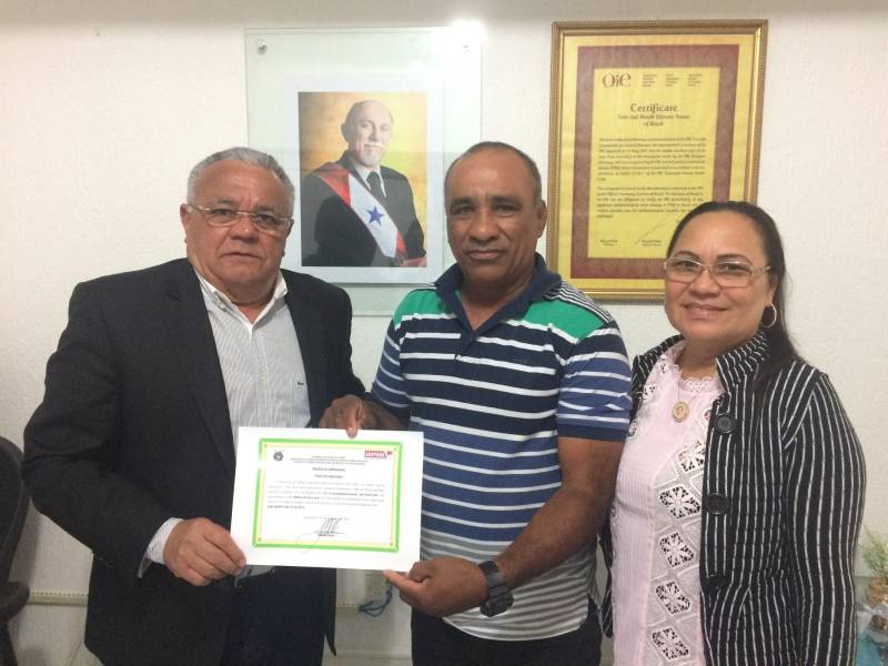 Há dois anos trabalhando com a produção de queijo do Marajó, o produtor Alfredo Leal resolveu que era hora de avançar. Procurado pela Agência de Defesa Agropecuária do Pará (Adepará), ele foi orientado a certificar a produção, e assim aumentar as possibilidades de negócios. “Eu já sabia como se produzia o queijo do Marajó, porém minha produção era pequena. A Adepará me procurou para que eu me adequasse às normas de produção e, dessa forma, pudesse comercializar o queijo para todo o Estado. Depois das adequações, estou aqui hoje, recebendo o certificado”, contou Alfredo Leal, proprietário da fábrica “Laticínios Leal”, que recebeu nesta quarta-feira (21), da Adepará, o certificado de empresa artesanal. Na foto, o diretor geral da Adepará, Luiz Pinto (e), entregou ao produtor de queijo do Marajó, proprietário da "Laticínios Leal", Alfredo Leal (c) e sua esposa Maria Helena Leal (d), o certificado de empresa artesanal.
FOTO: ASCOM / ADEPARÁ
DATA: 21.02.2018
BELÉM - PARÁ <div class='credito_fotos'>Foto: ASCOM ADEPARÁ | <a href='/midias/2018/originais/c83349f2-21c8-437e-af24-e5a68fb47f74.jpg' download><i class='fa-solid fa-download'></i> Download</a></div>