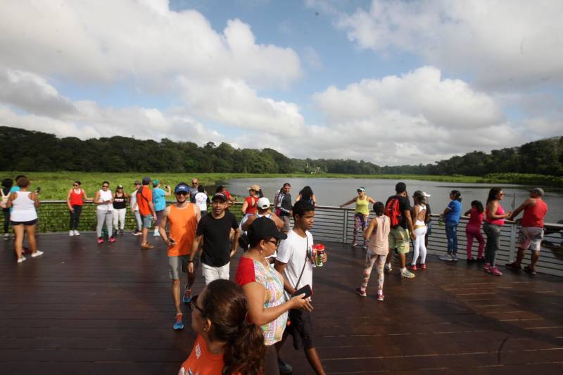 Uma reabertura feita a milhares de mãos. A fita inaugural colocada no inicio da trilha principal do Parque do Utinga foi rompida por mais de cinco mil pessoas ansiosas pelo inicio da caminhada, marcando o segundo dia da programação de reabertura do mais novo espaço paraense de lazer e interatividade com a natureza.
FOTO: SIDNEY OLIVEIRA / AG. PARÁ
DATA: 17.03.2018
BELÉM - PARÁ <div class='credito_fotos'>Foto: Sidney Oliveira/Ag. Pará | <a href='/midias/2018/originais/c95a1df5-2118-4afb-bceb-d00909d8d05d.jpg' download><i class='fa-solid fa-download'></i> Download</a></div>