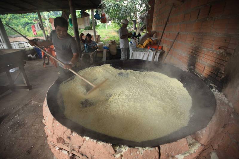 O dia começa cedo para a família do agricultor Adilson dos Santos, 33 anos. Produtores de mandioca da comunidade quilombola Boa Vista do Itá, de Santa Izabel do Pará, região metropolitana de Belém, eles são o retrato de uma tradição que vem se perpetuando por gerações e garantindo na mesa dos paraenses o produto que é a base alimentar do Estado. Do plantio ao beneficiamento, o lavrador herdou do pai a cultura que hoje é a principal fonte de renda da vila, onde vivem cerca de 50 famílias. No Pará, 96% da mandioca produzida vem da agricultura familiar. “Mandioca é pop, mandioca é tudo”, brinca Adilson. Ele está certo. Os produtos derivados da planta são diversos e ajudam a compor alguns dos pratos típicos mais conhecidos da região. Quase onipresente na mesa do paraense, a farinha é, muitas vezes, o alimento principal, nos sete dias da semana. Mas para chegar até as nossas casas, é preciso muito esforço e dedicação, aliado ao emprego de pesquisa e investimentos cada vez maiores do poder público. O conhecimento empírico do homem do campo hoje recebe o apoio de novas tecnologias e técnicas de plantio, que resultam em mais qualidade e produtividade.
FOTO: MÁCIO FERREIRA / AG PARÁ
DATA: 25.02.2018
SANTA IZABEL DO PARÁ
<div class='credito_fotos'>Foto: MÁCIO FERREIRA/ AG. PARÁ | <a href='/midias/2018/originais/cb0c4b90-8a16-4b84-bb35-02b8d7d9f554.jpg' download><i class='fa-solid fa-download'></i> Download</a></div>