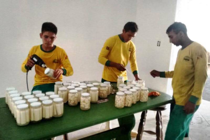 “O produtor possui uma propriedade na margem do Rio Esposento, onde está instalada no município a agroindústria de palmito (foto), que passará a funcionar a partir da realização do manejo de açaizal, gerando 30 empregos diretos e estimulando 100 indiretos”, informa Elinaldo Martins, técnico que elaborou o projeto, e chefe local da Emater.
FOTO: ASCOM EMATER
DATA: 03.10.2018
ALMEIRIM - PARÁ <div class='credito_fotos'>Foto: ASCOM EMATER | <a href='/midias/2018/originais/cbe1b19c-e3b3-4a06-a2ba-26cb98cb6454.jpg' download><i class='fa-solid fa-download'></i> Download</a></div>