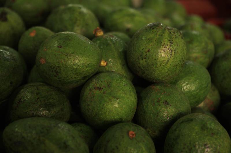 Com a chegada do verão, é importante reforçar o consumo de frutas para a absorção de nutrientes importantes e também para o combate à desidratação. Como toda a estação, existem as frutas da época, que, por conta da oferta, costumam ficar mais baratas. Uma das opções para a compra de frutas da estação é a Central de Abastecimento do Pará (Ceasa).
FOTO: RODOLFO OLIVEIRA / AG. PARÁ
DATA: 09.07.2018
BELÉM - PARÁ <div class='credito_fotos'>Foto: Rodolfo Oliveira/Ag. Pará | <a href='/midias/2018/originais/ccfefe0c-960d-4290-993d-a9ce28c8b478.jpg' download><i class='fa-solid fa-download'></i> Download</a></div>