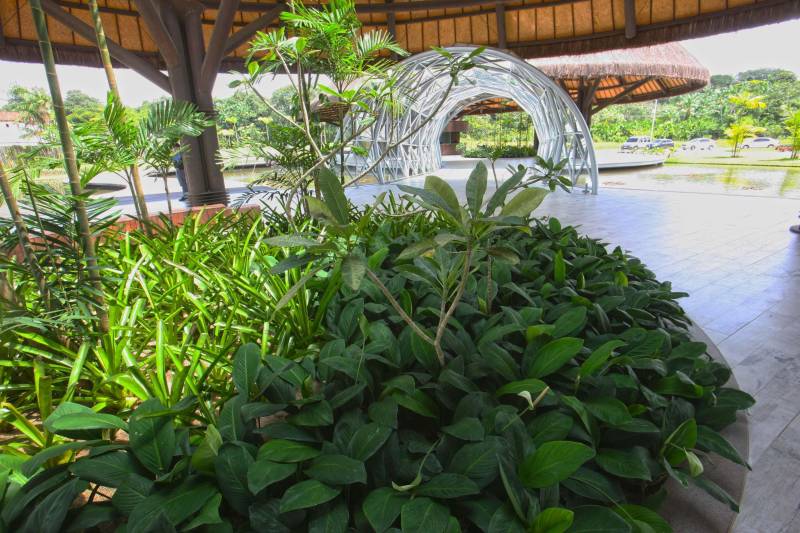 Bastante aguardado, o novo Parque Estadual do Utinga (PEUt) será reaberto ao público pelo Governo do Estado nos próximos dias 16 e 17 de março. Os serviços do mais importante espaço de preservação e estudo da biodiversidade dentro da Região Metropolitana de Belém serão oferecidos em caráter experimental. Na sexta-feira, a partir das 16h30, serão realizadas apresentações artísticas, com o Boi Veludinho, crianças do Pro Paz e a premiada Orquestra Sinfônica do Theatro da Paz. A apresentação será em um espaço ao ar livre e não será necessária a retirada de ingressos, por esse motivo, a recomendação é que o público chegue cedo, porque a entrada será fechada quando o espaço estiver lotado. No sábado, será realizada uma grande caminhada, a partir das 8 horas, com paradas para informações educativas sobre a fauna, flora e sobre os novos espaços. Por conta da grande quantidade de pessoas, incluindo crianças e idosos, o Corpo de Bombeiros recomendou e, a organização do evento acatou, a necessidade de se evitar durante a manhã do sábado o trânsito de veículos sobre rodas, como carros, bicicletas, skates e patins. Depois das 12 horas e durante todo o funcionamento do parque, a entrada e o uso por praticantes desta modalidade está completamente liberada no Parque. No domingo, o parque funciona normalmente ao público no horário de 5h30 às 17h, assim como nos outros dias, de segunda a segunda.
FOTO: IGOR BRANDÃO / AG PARÁ
DATA: 11.032018
BELÉM - PARÁ <div class='credito_fotos'>Foto: IGOR BRANDÃO / AG. PARÁ | <a href='/midias/2018/originais/cedb5cab-1fe9-4190-ad11-28030c61d277.jpg' download><i class='fa-solid fa-download'></i> Download</a></div>