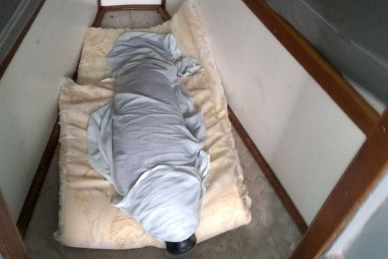 Um filhote fêmea de peixe-boi, já batizada de Neguinha, foi resgatada depois de encalhar em uma praia na ilha dos Pombos e levada por uma pescadora para a ilha da Conceição, também no município de Limoeiro do Ajuru, na região Tocantins.
FOTO: ASCOM SEMAS
DATA: 26.04.2018
LIMOEIRO DO AJURU - PARÁ <div class='credito_fotos'>Foto: ASCOM SEMAS | <a href='/midias/2018/originais/d0b6baf6-9173-4e99-896c-fe94a06baef4.jpg' download><i class='fa-solid fa-download'></i> Download</a></div>