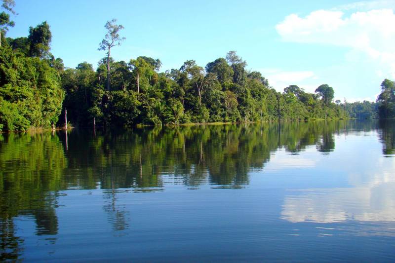 O Instituto de Desenvolvimento Florestal e da Biodiversidade do Pará (Ideflor-bio) lança nesta sexta-feira (14) uma concorrência pública para contratação de ente especializado para fazer a elaboração, validação, diagramação e impressão dos planos de gestão (manejo), dos resumos executivos e das cartilhas oficiais das unidades de conservação Área de Proteção Ambiental Lago de Tucuruí (foto) e reservas de desenvolvimento sustentável Alcobaça e Pucuruí-Ararão, localizadas no sudeste do Pará.
FOTO: ASCOM / IDEFLOR-BIO
DATA: 13.10.2016
<div class='credito_fotos'>Foto: Ascom Ideflor | <a href='/midias/2018/originais/d37aff1d-cc43-43f4-95cd-af44025f43c9.jpg' download><i class='fa-solid fa-download'></i> Download</a></div>