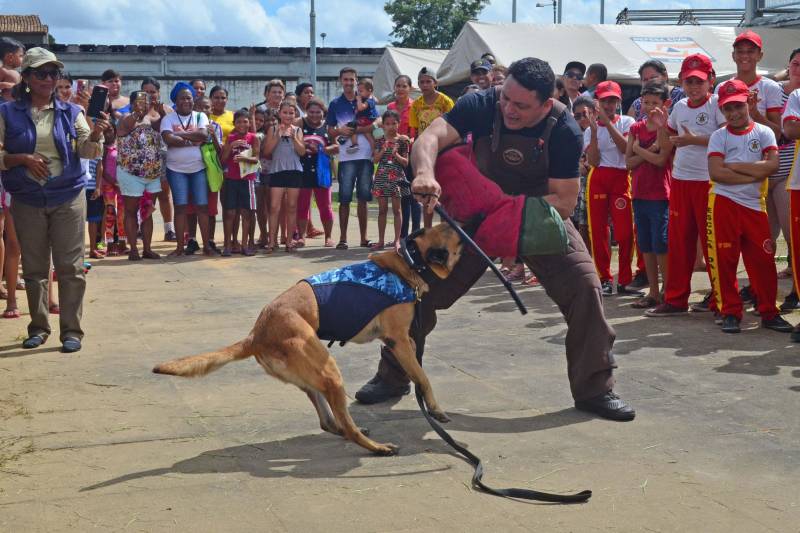 "Acho que ele vai vigiar quem fica fazendo coisa errada, como roubar, por exemplo". A fala de curiosidade é do estudante Isaac Souza, 10 anos. Ele se referia ao drone apresentado na manhã desta sexta-feira (27) aos alunos da Escola Estadual de Ensino Fundamental e Médio Ruy Paranatinga Barata, localizado no bairro Maracangalha, onde ocorreu à ação "Prevenção é Segurança". A iniciativa promovida pela Secretaria de Estado de Segurança Pública e Defesa Social (Segup) com o objetivo de apresentar equipamentos de segurança, assim como divulgar os diversos serviços de prevenção voltados as ações de combate à criminalidade.
FOTO: ELIELSON MODESTO / ASCOM SEGUP
DATA: 27.04.2018
BELÉM - PARÁ <div class='credito_fotos'>Foto: Elielson Modesto / Ascom Segup | <a href='/midias/2018/originais/d551e663-517b-4955-b7f8-6fa5a2da5cfa.jpg' download><i class='fa-solid fa-download'></i> Download</a></div>