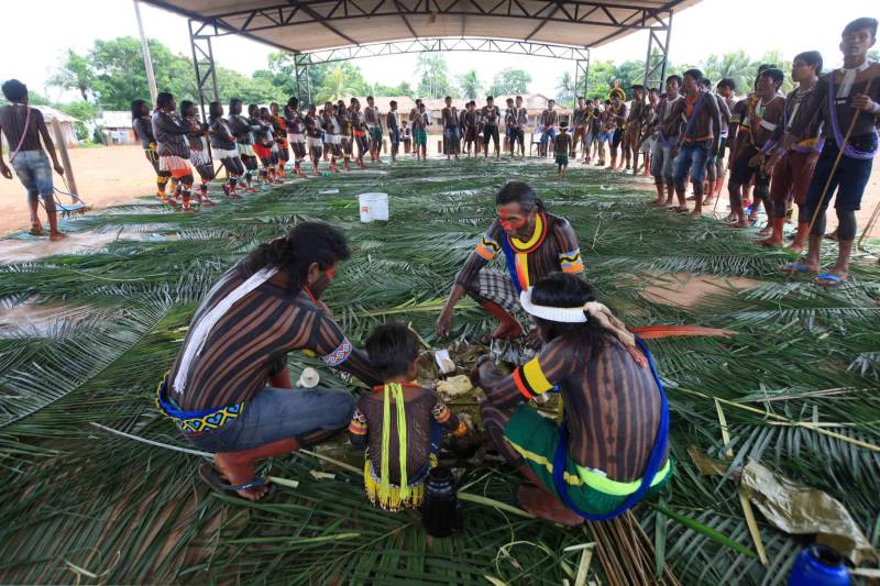 Está quase tudo pronto para a 6ª Semana dos Povos Indígenas, que começa neste domingo (15), em São Félix do Xingu, no sudeste do Pará. Antes de sair das aldeias em direção a São Félix – o terceiro maior município paraense em extensão territorial, atrás apenas de Altamira e Oriximiná –, as tribos fazem festa, numa espécie de preparação para os dias vindouros longe de casa. Na aldeia Krôkamôr, às margens do Rio Xingu e longe cerca de oito horas de barco da sede municipal, homens, mulheres e crianças Kayapó se unem na dança Kwyrykangô.
FOTO: RODOLFO OLIVEIRA / AG. PARÁ
DATA: 15.04.2018
SÃO FÉLIX DO XINGU - PARÁ <div class='credito_fotos'>Foto: Rodolfo Oliveira/Ag. Pará | <a href='/midias/2018/originais/d83c7315-a7b2-4f48-958c-e1c15accdbbd.jpg' download><i class='fa-solid fa-download'></i> Download</a></div>