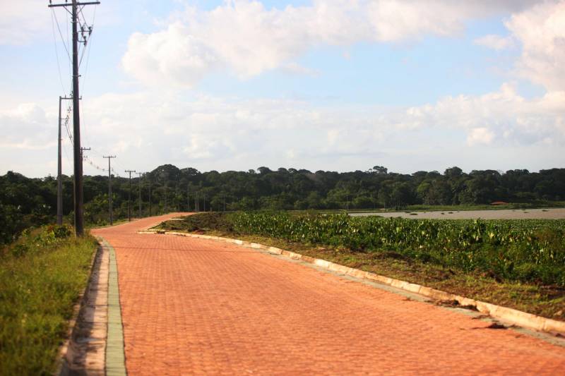 Com uma área equivalente a 1340 campos de futebol (1.340 hectares) o Parque Estadual do Utinga possui uma fauna exuberante com mais de 200 espécies de aves registradas e a maior biodiversidade de peixes em parques em todo o mundo com 90 espécies de peixes catalogadas.
FOTO: IGOR BRANDÃO / AG. PARÁ
DATA: 03.03.2018
BELÉM - PARÁ <div class='credito_fotos'>Foto: IGOR BRANDÃO / AG. PARÁ | <a href='/midias/2018/originais/d8c1bd67-802d-497a-9243-eb387f16f2e6.jpg' download><i class='fa-solid fa-download'></i> Download</a></div>