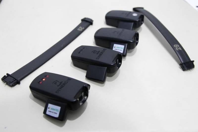 O Núcleo Gestor de Monitoração Eletrônica (NGME) de Marabá, começou a funcionar nesta terça-feira (18), com capacidade para monitorar 186 internos. O NGME de Marabá atuará com cinco servidores em duas salas, uma para instalação da tornozeleira eletrônica (foto) e outra para o monitoramento. No total, sete detentas foram as primeiras a serem beneficiadas com a medida alternativa e uso das tornozeleiras eletrônicas no município, sendo cinco do regime semi-aberto e duas do regime fechado, com base na progressão antecipada de pena determinada pela Justiça. A decisão foi do juiz Titular da vara de Execução Penal de Marabá, Caio Berardo, e se baseia na Súmula Vinculante 56, do Supremo Tribunal Federal (STF), ao recomendar que "na falta de estabelecimento penal adequado, não autoriza a manutenção do condenado em regime prisional mais gravoso podendo ser deferida a prisão domiciliar ao sentenciado". Com base nessa decisão, o juiz determinou então a progressão antecipada de pena das internas para o regime aberto, com o monitoramento eletrônico.

FOTO: ASCOM / SUSIPE
DATA: 19.12.2018
MARABÁ - PARÁ <div class='credito_fotos'>Foto: ASCOM SUSIPE   |   <a href='/midias/2018/originais/da54a85c-39d5-4cc4-85b7-bd053e572e35.jpg' download><i class='fa-solid fa-download'></i> Download</a></div>