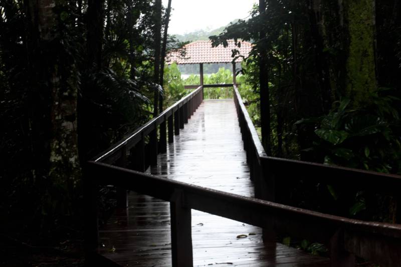 Jornalistas, influenciadores digitais e membros da sociedade civil organizada participaram, nesta quinta-feira (15), da visita guiada ao Parque Estadual do Utinga (Peut) que será inaugurado na sexta-feira (16), às 16h30. Os convidados foram recebidos pelo secretário estadual de Cultura, o arquiteto Paulo Chaves; pelo presidente do Ideflor-bio, Thiago Novaes; pelo gerente do Peut, Julio Meyer; pelo secretário de comunicação, Daniel Nardin e pelo representante da diretoria da Unidade de Conservação do Parque, Wendel Andrade. O evento começou às 9h com a apresentação das melhorias feitas no espaço durante as obras, dos serviços que funcionarão no local e de algumas normas de utilização desse novo equipamento.
FOTO: SIDNEY OLIVEIRA / AG. PARÁ
DATA: 15.03.2018
BELÉM - PARÁ <div class='credito_fotos'>Foto: Sidney Oliveira/Ag. Pará | <a href='/midias/2018/originais/da9c1ebb-7a7e-4148-bedb-5940251310e6.jpg' download><i class='fa-solid fa-download'></i> Download</a></div>