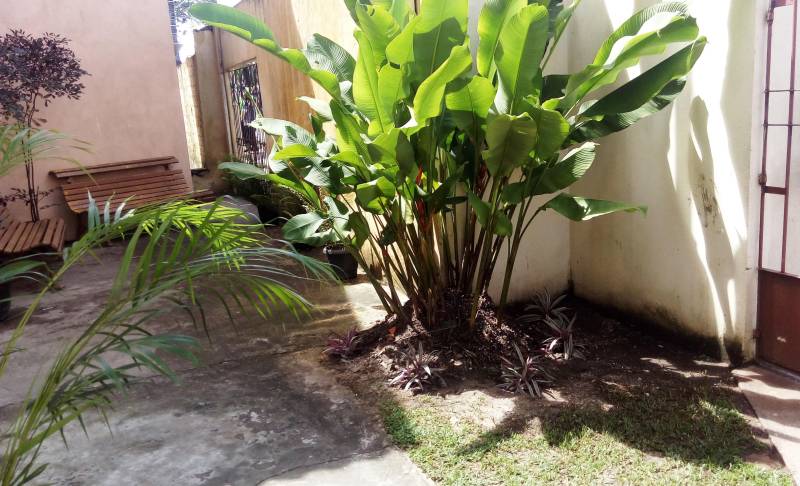 Produção de mudas foi um dos itens do curso “Envasamento de plantas e noções de paisagismo” (foto), encerrado nesta sexta-feira (4), na Paróquia Nossa Senhora do Livramento, no Bairro do Paracuri, Distrito de Icoaraci, em Belém. A capacitação resultou da parceria entre a Empresa de Assistência Técnica e Extensão Rural do Estado do Pará (Emater) e o Núcleo de Articulação e Cidadania (NAC), dentro do Projeto Cultivando Flores e Vida. A iniciativa beneficia moradores de comunidades carentes da Região Metropolitana de Belém ao oferecer oportunidade de inclusão socioprodutiva a pessoas em situação de vulnerabilidade social.
FOTO: ASCOM / EMATER
DATA: 04.05.2018
ICOARACI - PARÁ <div class='credito_fotos'>Foto: ASCOM EMATER | <a href='/midias/2018/originais/db50de47-f5bd-49d0-a127-5e16d7ddb58a.jpg' download><i class='fa-solid fa-download'></i> Download</a></div>