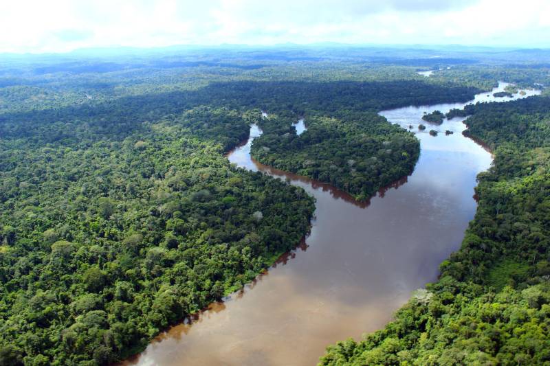 Pará cria o 'Fundo da Amazônia Oriental' para o desenvolvimento sustentável da região