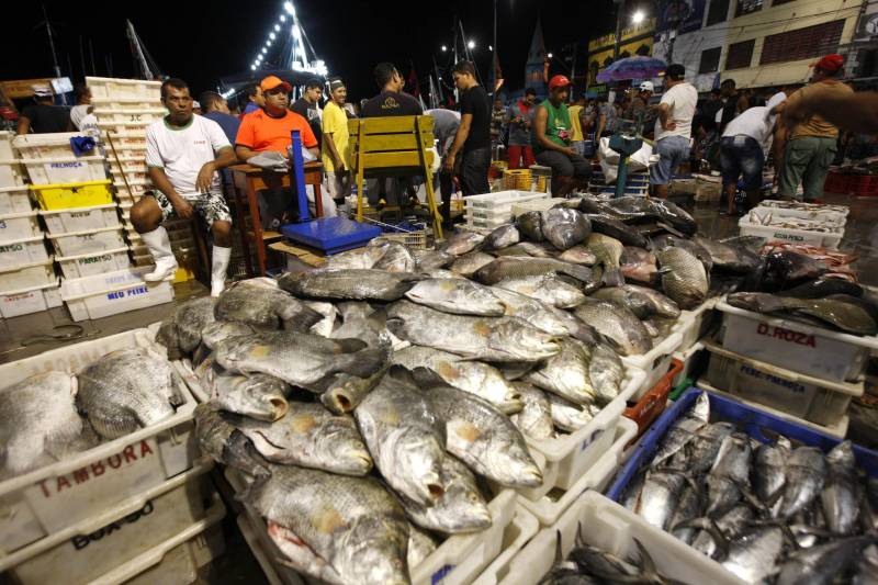 A proibição da saída do pescado durante a Semana Santa já vem sendo posta em prática há mais de duas décadas, mas, ao longo dos últimos anos, vem perdendo cada vez mais a eficácia. Na fato, pescado na feira do Ver-o-Peso.
FOTO: RODOLFO OLIVEIRA / ARQUIVO AG. PARÁ
DATA: 07.03.2018
BELÉM - PARÁ <div class='credito_fotos'>Foto: Rodolfo Oliveira/Ag. Pará | <a href='/midias/2018/originais/dfeb04f5-bae4-4423-ad1d-f141da46ec64.jpg' download><i class='fa-solid fa-download'></i> Download</a></div>