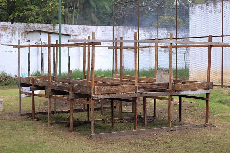 O cultivo de hortaliças e o manejo com a terra são formas de ressocialização oferecida para 20 internos custodiados na Central de Triagem Metropolitana II (CTM II), em Ananindeua, que participam de um curso de Horticultura promovido pelo Serviço Nacional de Aprendizagem Rural (Senar), em parceria com a Superintendência do Sistema Penitenciário do Estado (Susipe). O objetivo é preparar e qualificar os internos da unidade para o mercado de trabalho.
FOTO: Veloso Jr/ ASCOM SUSIPE
DATA: 13.11.2018
SANTA IZABEL - PARÁ
<div class='credito_fotos'>Foto: Veloso Junior / Ascom Susipe | <a href='/midias/2018/originais/e0300c48-d804-477a-87a7-dbf9a24fa3b2.jpg' download><i class='fa-solid fa-download'></i> Download</a></div>