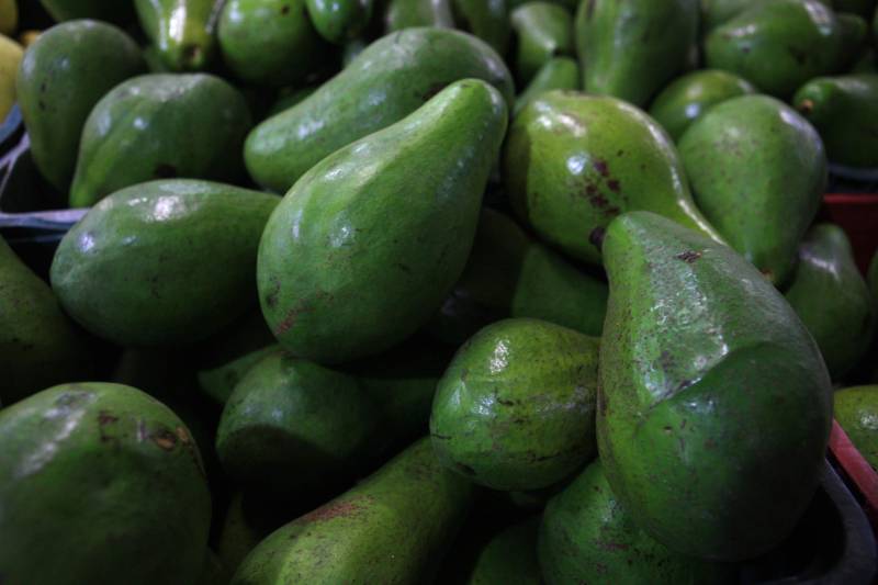 Com a chegada do verão, é importante reforçar o consumo de frutas para a absorção de nutrientes importantes e também para o combate à desidratação. Como toda a estação, existem as frutas da época, que, por conta da oferta, costumam ficar mais baratas. Uma das opções para a compra de frutas da estação é a Central de Abastecimento do Pará (Ceasa).
FOTO: RODOLFO OLIVEIRA / AG. PARÁ
DATA: 09.07.2018
BELÉM - PARÁ <div class='credito_fotos'>Foto: Rodolfo Oliveira/Ag. Pará | <a href='/midias/2018/originais/e0b21d8a-a2c1-43b6-9ee8-1ebb3d50c181.jpg' download><i class='fa-solid fa-download'></i> Download</a></div>