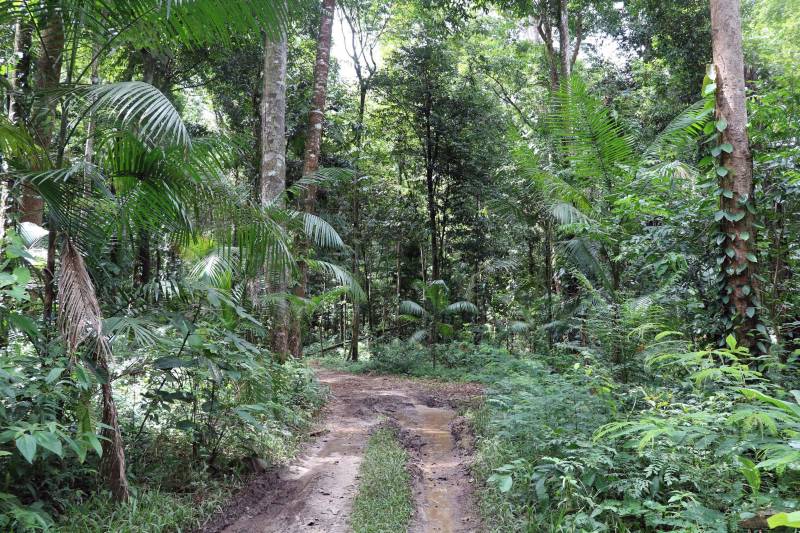 O Instituto de Desenvolvimento Florestal e da Biodiversidade (Ideflor-bio) inaugura neste final de semana a primeira trilha de longo curso do Pará. Com 30 quilômetros de extensão, a Rota do Guarumã passa pelas cidades de Belém, Ananindeua, Marituba e Benevides, na Região Metropolitana da capital paraense. O percurso atravessa as Unidades de Conservação Parque Estadual do Utinga, Área de Proteção Ambiental Metropolitana de Belém e o Refúgio de Vida Silvestre Metrópole da Amazônia.

FOTO: ASCOM IDEFLOR
DATA: 14.12.2018
BELÉM - PARÁ
 <div class='credito_fotos'>Foto: Ascom Ideflor   |   <a href='/midias/2018/originais/e0db85e1-16d6-47ca-9e79-7e8a46ef2599.jpg' download><i class='fa-solid fa-download'></i> Download</a></div>