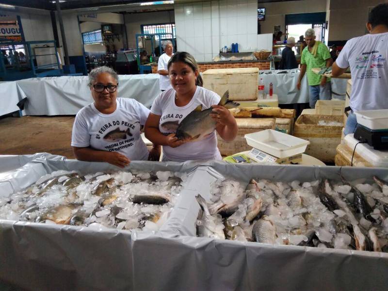 Assim como seu Paulo vários outros produtores estão aproveitando o período para vender ainda mais o produto. Dentro do calendário da semana santa, a Gerência Regional da Emater e da Secretaria de Desenvolvimento Agropecuário e da Pesca de Conceição do Araguaia com apoio dos municípios estão realizando, desta quinta-feira até domingo, a Feira do Pescado (foto) em Redenção, Xinguara, Água Azul do Norte, Tucumã e São Félix do Xingu. Segundo o gerente regional da Emater Luiz Flávio Cavalcante, a previsão é que sejam comercializadas 10 toneladas de várias espécies como caranha, tambaqui, piauaçú e pirarucu.
FOTO: KÉLIA SANTOS / ASCOM CRGSP
DATA: 29.03.2018
MARABÁ - PARÁ <div class='credito_fotos'>Foto: KÉLIA SANTOS / ASCOM CRGSP | <a href='/midias/2018/originais/e1f3e5ec-b9b6-4c33-9735-a92907c029e4.jpg' download><i class='fa-solid fa-download'></i> Download</a></div>