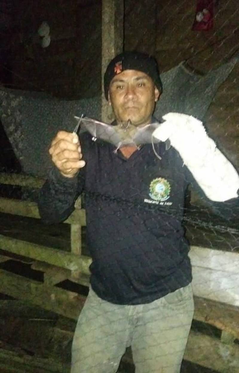 Mais de 3 mil doses de vacinas antirrábicas e 500 soros antirrábicos foram encaminhados ao município de Melgaço, na Ilha do Marajó,  nesta terça-feira, 22, para reforçar as ações de prevenção e investigação ao vírus da raiva humana. No total foram 5 mil vacinas e 1 mil soros entregues durante o trabalho das equipes da Vigilância Epidemiológica e Vigilância em Saúde estadual, iniciado desde o dia 4 de maio, quando a Sespa foi notificada de casos suspeitos de raiva humana na região. As ações (foto) se concentram em localidades ao longo do rio Laguna, cerca de 70 km da sede de Melgaço, onde residem aproximadamente 3.000 pessoas. Cerca de 780 pessoas iniciaram a vacinação, que é administrada em quatro doses. Também foram entregues 500 mosquiteiros para a proteção dessa população. Até o início desta terça-feira, 22 de maio, foram notificados 14 casos de raiva humana, com oito óbitos, sendo três confirmados laboratorialmente para a doença pelo Instituto Evandro Chagas (IEC). Dos casos notificados, dois foram descartados, pois não evoluíram para o quadro clínico dos demais e receberam alta.  Até o momento, quatro pacientes seguem internados, sendo três no Hospital da Santa Casa, em Belém, e um no Hospital Regional de Breves. Todos estão em estado considerado grave. Coletas sorológicas foram realizadas em pacientes que foram internados, inclusive os que morreram. As amostras também foram encaminhadas para o Instituto Pasteur, onde estão sendo analisadas.

FOTO: ASCOM / SESPA
DATA: 22.05.2018
MELGAÇO - PARÁ <div class='credito_fotos'>Foto: ASCOM SESPA   |   <a href='/midias/2018/originais/e282a877-0c3f-4c8d-9268-1b7e0d404537.jpg' download><i class='fa-solid fa-download'></i> Download</a></div>