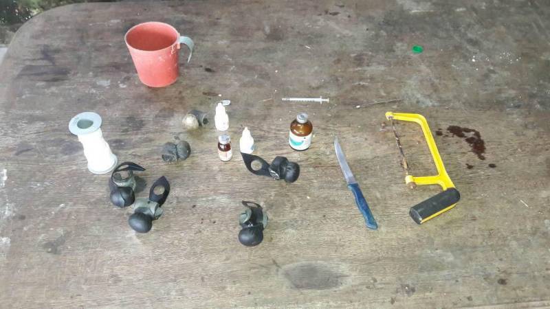 Combater maus-tratos e o comércio ilegal de animais silvestres nas cidades de Belém e Castanhal, na Região Metropolitana, foi o objetivo da operação "Arco e Flexa” pela Polícia Civil na manhã desta quinta-feira (26). Realizada por policiais civis da Divisão Especializada em Meio Ambiente (Dema), a ação contou com investigações sobre locais onde galos eram usados em rinhas e de cativeiros de aves silvestres, que eram comercializadas. As investigações que resultaram na operação foram coordenadas pelos delegados Rayrton Carneiro e Cláudio Gomes. Em Castanhal, no Bairro Nova Olinda, foram resgatados 42 galos da espécie Índio Brasileiros (foto), que eram mantidos em cativeiro e usados em rinhas, mediante apostas em dinheiro. Os galos resgatados, disse o delegado Luis Xavier, diretor da Dema, apresentam mutilações decorrentes das brigas e dos maus-tratos a quem eram submetidos.
FOTO: ASCOM / POLÍCIA CIVIL
DATA: 26.04.2018
CASTANHAL - PARÁ <div class='credito_fotos'>Foto: Ascom / Polícia Civil | <a href='/midias/2018/originais/e5245591-9778-4b5f-9e5d-456b3aba3fbc.jpg' download><i class='fa-solid fa-download'></i> Download</a></div>
